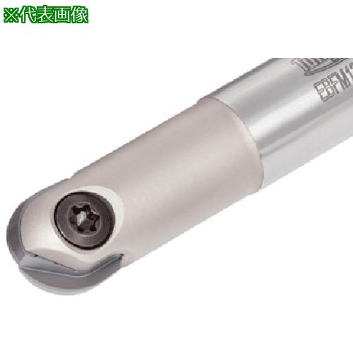 ■タンガロイ ボール・フィニッシュ・ノーズ 柄付きカッタ EBFM〔品番:EBFM12S12S110〕【7103042:0】[店頭受取不可]