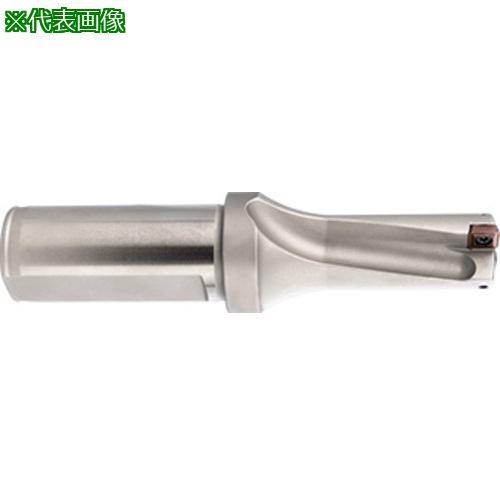 ■GUHRING インサート交換式ドリル 2xD ホルダ46.000〔品番:2850046.000〕【7117796:0】[送料別途見積り][法人・事業所限定][掲外取寄][店頭受取不可]｜ホームセンターバロー　店