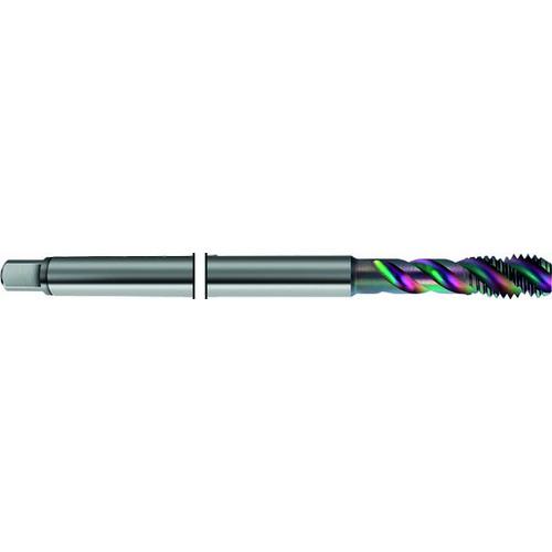■GUHRING アルミ用スパイラルタップ メ-トル並目ねじ M12 ロングシャンク〔品番:656512.000〕【7118046:0】[送料別途見積り][法人・事業所限定][掲外取寄][店頭受取不可]
