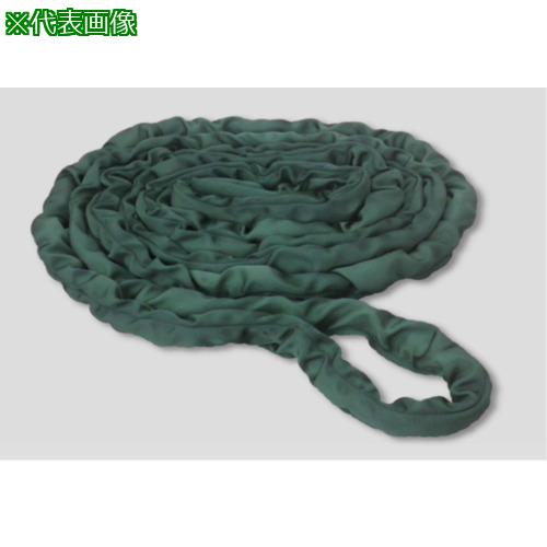 ■TESAC ベルトスリング ハイテクロンソフトE形(両端アイタイプ) 25t用×7m〔品番:THSE25TX7M〕【7119308:0】[法人・事業所限定][外直送元][店頭受取不可]