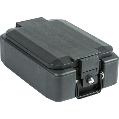 ■ブルク ヴェヒター 耐火保管庫 FP-22K〔品番:39850〕【7129415:0】[店頭受取不可]