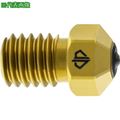 ■GUHRING 3Dプリンター用ノズル DIANOZ Pro V6 フィラメント径2.85mm用 ノズル口径0.6mm〔品番:9609285.060〕【7132901:0】[送料別途見積り][法人・事業所限定][掲外取寄][店頭受取不可]