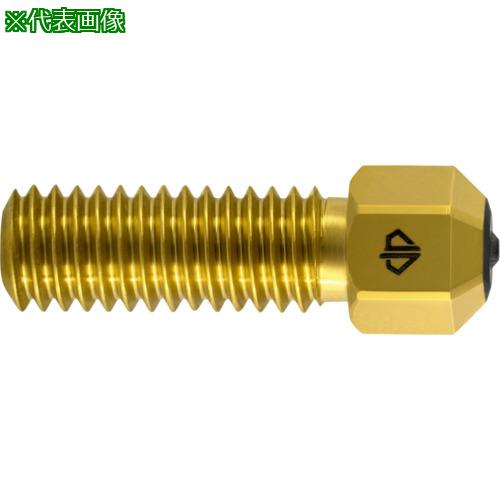 ■GUHRING 3Dプリンター用ノズル DIANOZ Pro Volcano フィラメント径1.75mm用 ノズル口径1mm〔品番:9611175.100〕【7132955:0】[送料別途見積り][法人・事業所限定][掲外取寄][店頭受取不可]