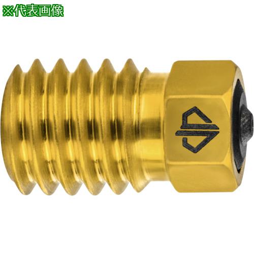■GUHRING 3Dプリンター用ノズル DIANOZ Pro Bambu Lab フィラメント径1.75mm用 ノズル口径0.2mm〔品番:9606175.020〕【7133127:0】[送料別途見積り][法人・事業所限定][掲外取寄][店頭受取不可]