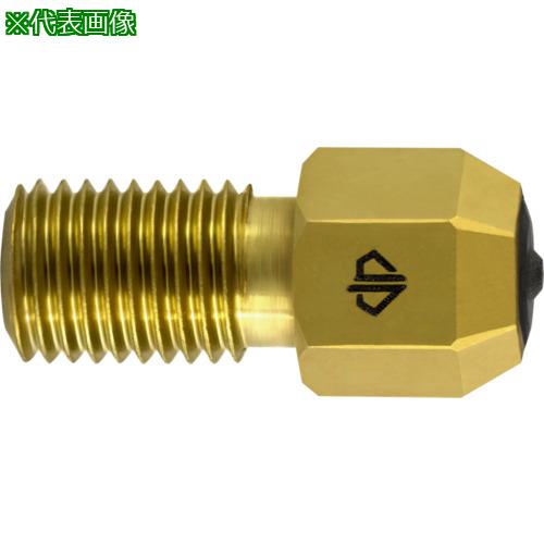 ■GUHRING 3Dプリンター用ノズル DIANOZ Pro UltiMaker フィラメント径2.85mm用 ノズル口径1mm〔品番:9610285.100〕【7133136:0】[送料別途見積り][法人・事業所限定][掲外取寄][店頭受取不可] 29,959円