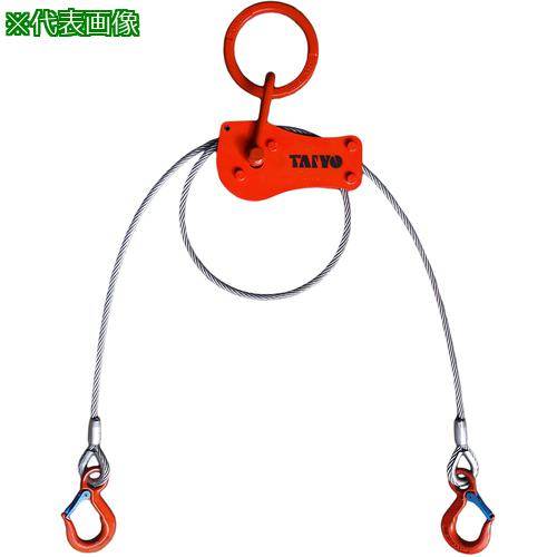 ■TAIYO ワイヤバランサー 2tセット L2.5m 1016571〔品番:TWBLS2TX2.5〕【7170673:0】[法人・事業所限定][直送元][店頭受取不可]｜ホームセンターバロー　店