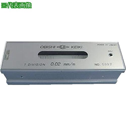 ■大菱計器製作所 平形水準器 100×0.02〔品番:AD101〕【7173389:0】[店頭受取不可]