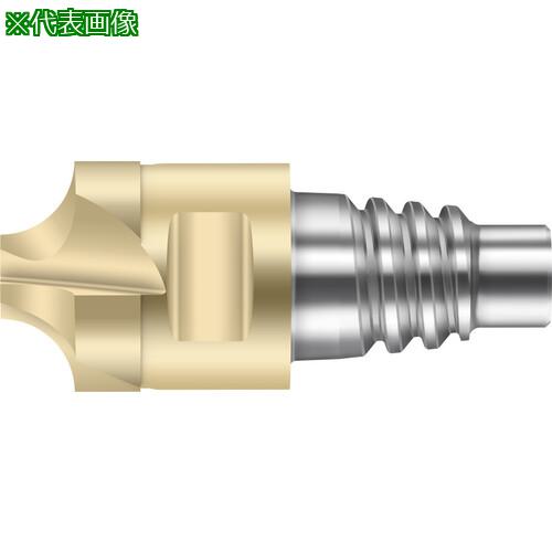 ■Prototyp 超硬 R 面取りエンドミル〔品番:MC50312.0E4P300WJ30TP〕【7176939:0】[送料別途見積り][掲外取寄][店頭受取不可]｜ホームセンターバロー　店