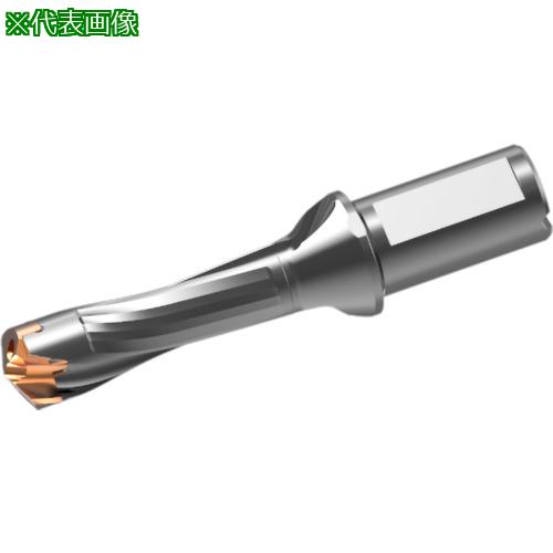 ■三菱 ヘッド交換式超硬ドリル DXASホルダ d28×L/D 3〔品番:DXAS2800X3F32〕【7177842:0】[送料別途見積り][掲外取寄][店頭受取不可]