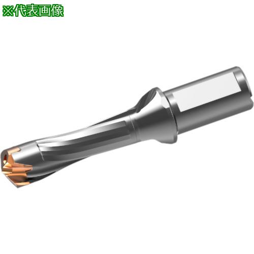 ■三菱 ヘッド交換式超硬ドリル DXASホルダ d29&times;L/D 3〔品番:DXAS2900X3F32〕【7177867:0】[送料別途見積り][掲外取寄][店頭受取不可]｜ホームセンターバロー　店
