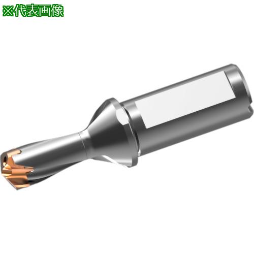 ■三菱 ヘッド交換式超硬ドリル DXASホルダ d18×L/D 1.5〔品番:DXAS1800X1F25〕【7177869:0】[送料別途見積り][掲外取寄][店頭受取不可] 25,857円