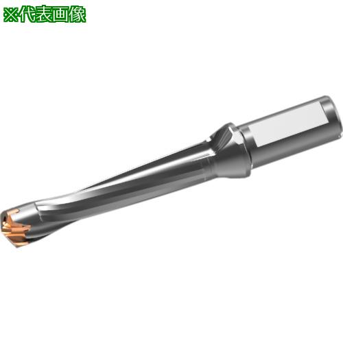 ■三菱 ヘッド交換式超硬ドリル DXASホルダ d22×L/D 5〔品番:DXAS2200X5F25〕【7179384:0】[送料別途見積り][掲外取寄][店頭受取不可]