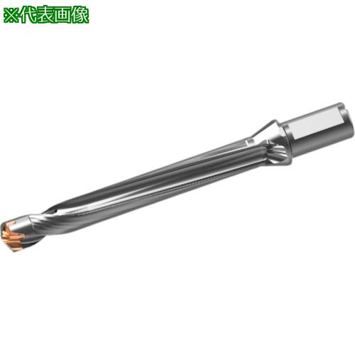 ■三菱 ヘッド交換式超硬ドリル DXASホルダ d28×L/D 8〔品番:DXAS2800X8F32〕【7179401:0】[送料別途見積り][掲外取寄][店頭受取不可]