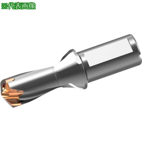 ■三菱 ヘッド交換式超硬ドリル DXASホルダ d30×L/D 1.5〔品番:DXAS3000X1F32〕【7179411:0】[送料別途見積り][掲外取寄][店頭受取不可] 30,602円