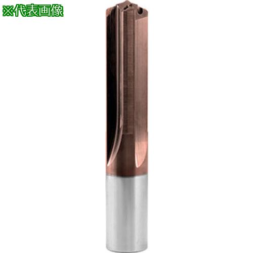 ■GUHRING 超硬4枚刃ドリル オイルホール付き VB 100 P 5xD 31mm〔品番:604531.000〕【7281165:0】[送料別途見積り][法人・事業所限定][掲外取寄][店頭受取不可]｜ホームセンターバロー　店
