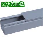 ■PANDUIT ヒンジタイプ密閉型配線ダクト(PVC製 鉛フリー)ライトグレー 6FT(フィート) 1本〔品番:HS1.5X2LG6NM〕【7313179:0】[送料別途見積り][法人・事業所限定][掲外取寄][店頭受取不可]
