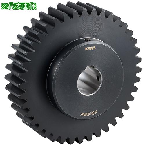 ■KANA 軸穴完成品 平歯車B形 モジュール5 歯数52 穴径 65〔品番:FBNM5B52D65〕【7315199:0】[送料別途見積り][掲外取寄][店頭受取不可]｜ホームセンターバロー　店