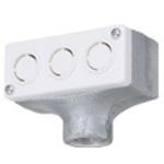 ■Panasonic ターミナルキャップ 鋳鉄製 C75〔品番:DF2075P〕【7324673:0】[送料別途見積り][掲外取寄][店頭受取不可]｜ホームセンターバロー　店