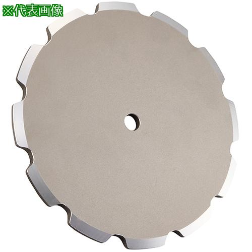 ■KANA Fローラ用コンベヤスプロケット 新歯型 10150 A形 歯数8〔品番:K10150F8A〕【7328057:0】[送料別途見積り][掲外取寄][店頭受取不可]｜ホームセンターバロー　店