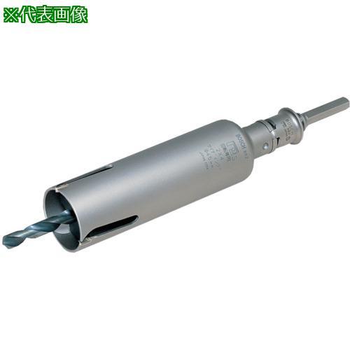 ■ボッシュ 2X4コア95mmSDSセット〔品番:P24095SDS〕【7330782:0】[送料別途見積り][掲外取寄][店頭受取不可]｜ホームセンターバロー　店