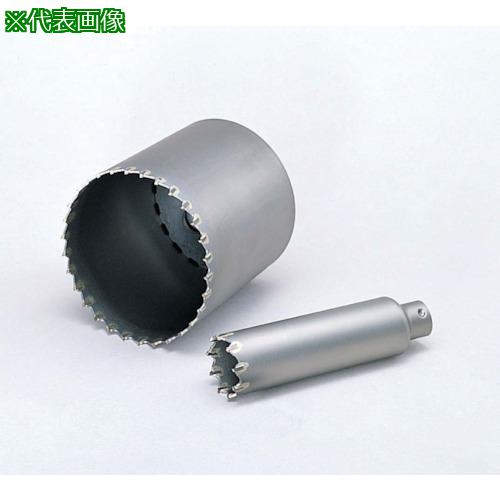 ■ボッシュ ポリクリック 振動コアカッター 160mm〔品番:PSI160C〕【7335369:0】[送料別途見積り][掲外取寄][店頭受取不可]