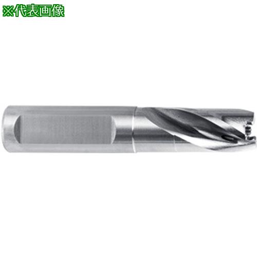■GUHRING BT 800 ドリルホルダ 1.5xD ホルダサイズ105〔品番:815010.500〕【7337823:0】[送料別途見積り][法人・事業所限定][掲外取寄][店頭受取不可]｜ホームセンターバロー　店