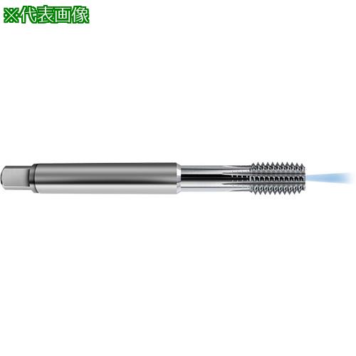 ■GUHRING フォーミングタップ ISO メートル並目ねじ アキシャルクーラント穴付き M20&times;2.5〔品番:832520.000〕【7341028:0】[送料別途見積り][法人・事業所限定][掲外取寄][店頭受取不可]｜ホームセンターバロー　店