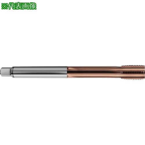 ■GUHRING メートル並目ねじ用タップ ロング AlCrNコート M24&times;3.0〔品番:831424.000〕【7342534:0】[送料別途見積り][法人・事業所限定][掲外取寄][店頭受取不可]｜ホームセンターバロー　店