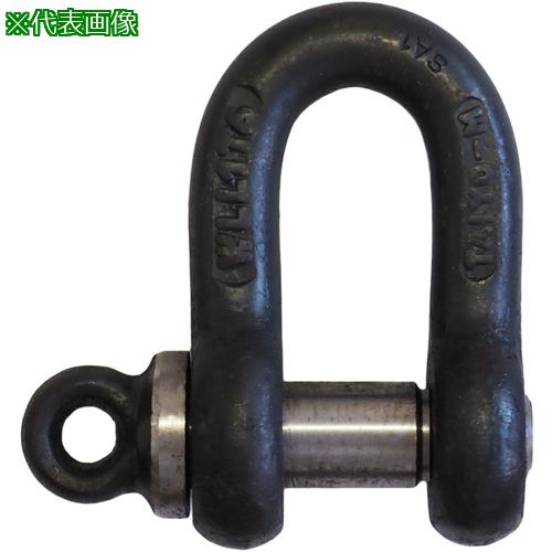 ■TAIYO TAIYOシャックル 黒 SE-38 1016272〔品番:TSE38〕【7343769:0】[送料別途見積り][掲外取寄][店頭受取不可]｜ホームセンターバロー　店