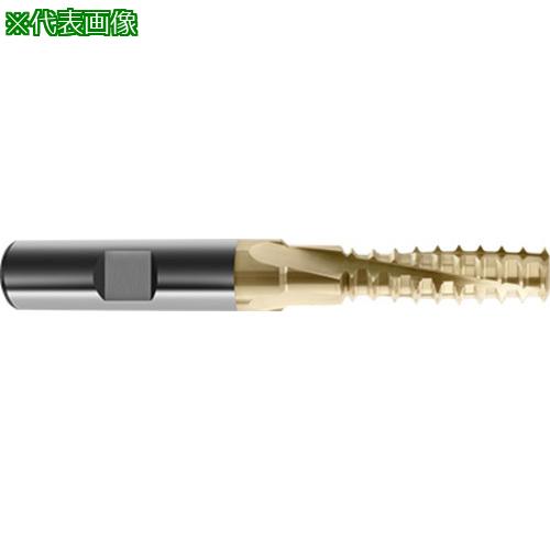 ■GUHRING ISOメートルねじ用スレッドカッター 面取り刃なし M16用〔品番:487016.000〕【7345782:0】[送料別途見積り][法人・事業所限定][掲外取寄][店頭受取不可]｜ホームセンターバロー　店