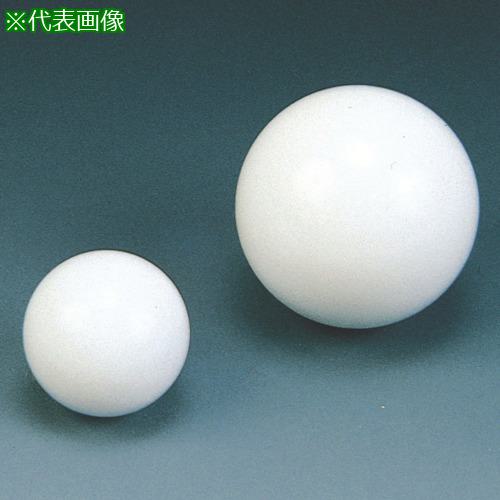 ■フロンケミカル フッ素樹脂(PFA)冷却装置 300cc〔品番:NR1230001〕【7352271:0】[法人・事業所限定][外直送元][店頭受取不可]｜ホームセンターバロー　店