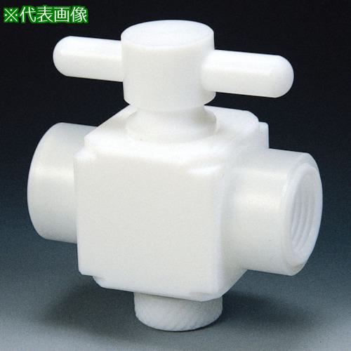 ■フロンケミカル フッ素樹脂(PTFE)二方バルブ両メスタイプ RC3/8〔品番:NR1304002〕【7352999:0】[送料別途見積り][掲外取寄][店頭受取不可]｜ホームセンターバロー　店