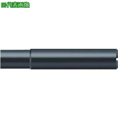 ■Prototyp 16ヘッド用シャンク タイプA 70mm〔品番:AK610.Z20.E16.005〕【7360371:0】[送料別途見積り][掲外取寄][店頭受取不可]｜ホームセンターバロー　店