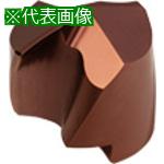 超ワイドモンキレンチ×北斗の拳|最強二人三脚がここに具体化！