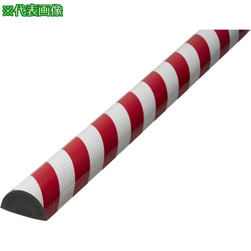■IWATA バンパープロ BP25 (1m)〔品番:BP25L1〕【7594518:0】[送料別途見積り][掲外取寄][店頭受取不可]｜ホームセンターバロー　店