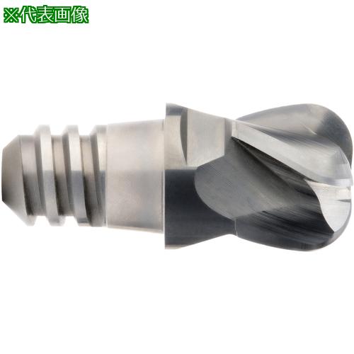 ■MAPAL CPMill-Uni-Torus 「CPM160」〔品番:CPM1601600Z04R020012HP383〕【7755007:0】[店頭受取不可]