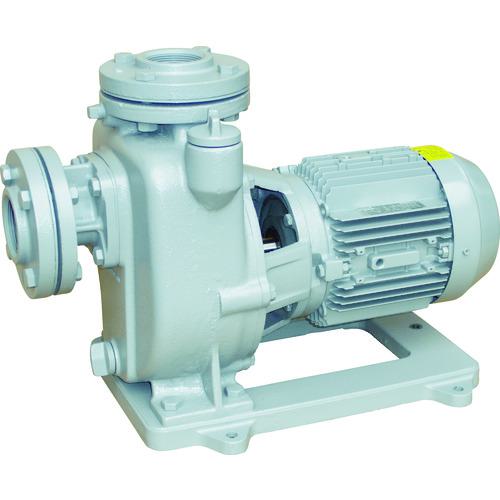 ■TERADA 陸上ポンプ セルプラポンプ 全閉外扇屋外形電動機付 50Hz 0.75kW 全揚程14m〔品番:MPJ350.71E50HZ〕【7756569:0】[法人・事業所限定][直送元][店頭受取不可]