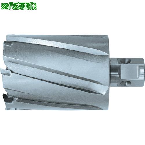 ■日東 ジェットブローチ ワンタッチタイプ 42X75L 06944〔品番:NO.06944〕【7779895:0】[店頭受取不可]｜ホームセンターバロー　店