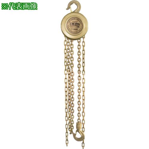 ■HAMACO 防爆工具 チェーンホイスト1t〔品番:CBCHO1〕【7789165:0】[法人・事業所限定][外直送元][店頭受取不可]