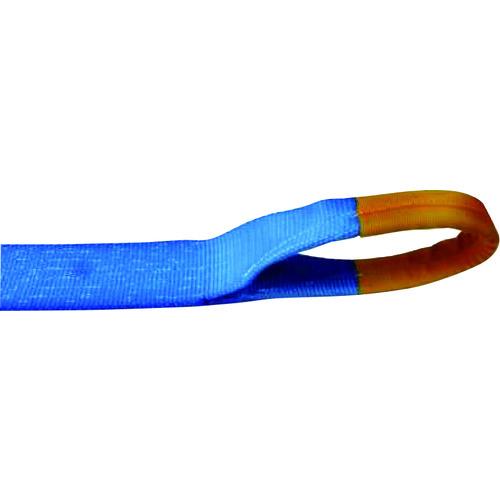 ■TESAC ラッシングベルト(ベルト荷締機)ラチェットバックル式アイタイプ〔品番:R100E010070A〕【7931611:0】[店頭受取不可]｜ホームセンターバロー　店