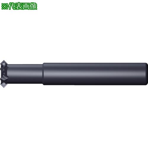 ■富士元 チビ両面〔品番:TR1620S〕【7968680:0】[店頭受取不可]｜ホームセンターバロー　店