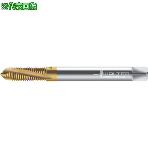 ■Prototyp マシンタップ〔品番:204101M16〕【8026623:0】[送料別途見積り][掲外取寄][店頭受取不可]｜ホームセンターバロー　店