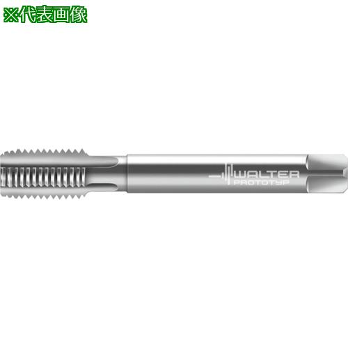 ■Prototyp マシンタップ〔品番:21368M16X1.5〕【8026886:0】[送料別途見積り][掲外取寄][店頭受取不可]