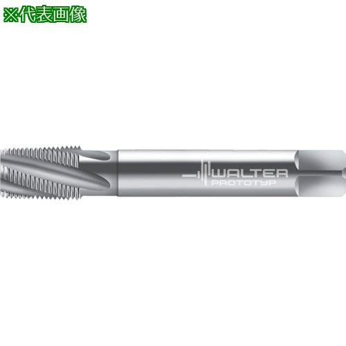 ■Prototyp マシンタップ〔品番:25467NPT12〕【8027126:0】[送料別途見積り][掲外取寄][店頭受取不可]