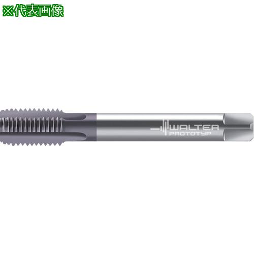 ■Prototyp マシンタップ〔品番:8136417M8X1〕【8027400:0】[送料別途見積り][掲外取寄][店頭受取不可]｜ホームセンターバロー　店
