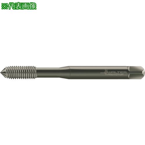 ■Prototyp 転造タップ〔品番:D70611M5〕【8027652:0】[送料別途見積り][掲外取寄][店頭受取不可]