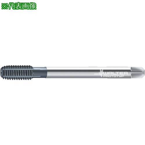■Prototyp 転造タップ〔品番:D7466706G12〕【8027696:0】[送料別途見積り][掲外取寄][店頭受取不可]｜ホームセンターバロー　店