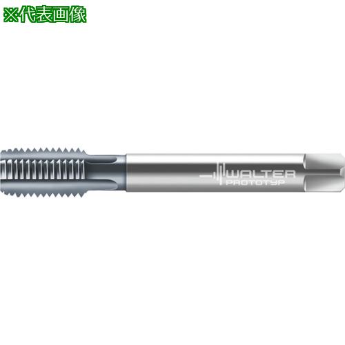 ■Prototyp マシンタップ〔品番:E2136406M18X1.5〕【8027791:0】[送料別途見積り][掲外取寄][店頭受取不可]｜ホームセンターバロー　店 15,554円