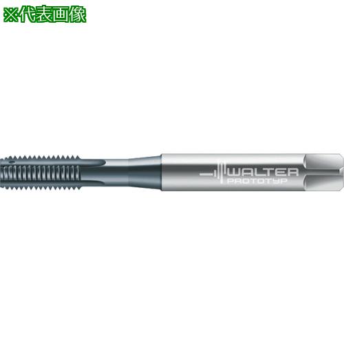 ■Prototyp マシンタップ〔品番:E2031446M6〕【8027832:0】[送料別途見積り][掲外取寄][店頭受取不可]