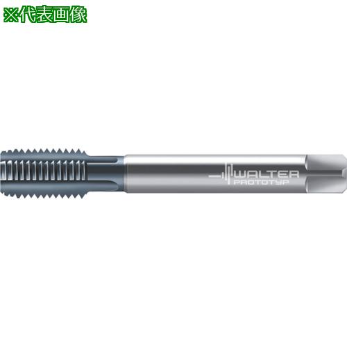 ■Prototyp マシンタップ〔品番:E2136416M8X1〕【8027922:0】[送料別途見積り][掲外取寄][店頭受取不可]｜ホームセンターバロー　店
